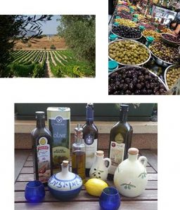 A LAND OF OLIVE OIL