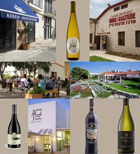 SUCCOT WINERIES & WINES