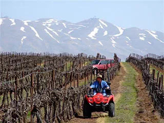 high altitude vineyards golan heights