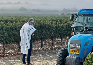 A toast to Rosh Hashana