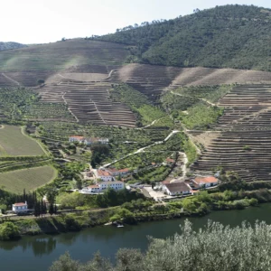 THE PARTHENON OF PORT