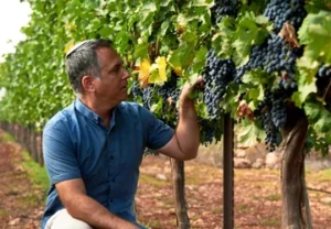 EXPLORING BIBLICAL ISRAEL