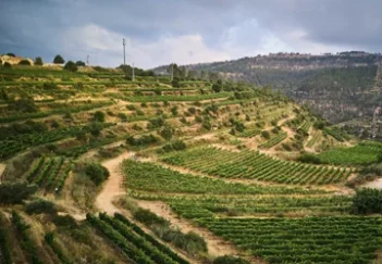 FROM WINEMAKERS TO FARMERS